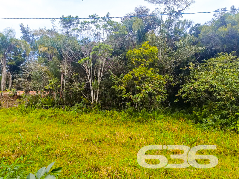 Terreno - Pinheiros - Balneário Barra do Sul