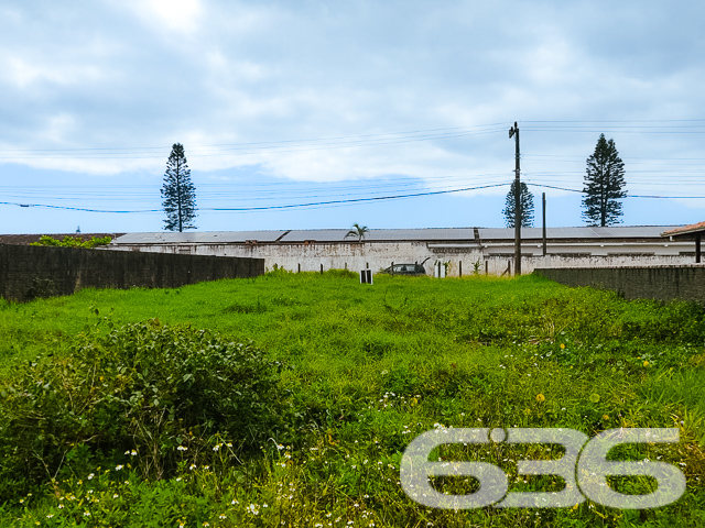 Confira esta exclusividade da 636 Negócios Imobiliários: um terreno deslumbrante localizado em São Francisco do Sul, no bairro Ervino, uma verdadeira joia para quem busca tranquilidade e investimento seguro em um dos destinos mais encantadores de Santa Catarina.

Detalhes do Terreno:

Com um total de 490,00 m²,  formando uma geometria regular ideal para diversos projetos arquitetônicos.
Localização: Oferece um ambiente tranquilo e está pronto para ser transformado na sua próxima grande conquista.

Por que escolher este terreno?

Localização estratégica: São Francisco do Sul é conhecida por sua beleza natural e tranquilidade, sendo um dos destinos mais procurados por quem deseja qualidade de vida ou um ótimo retorno sobre investimentos.
Flexibilidade de Projeto: O tamanho e a forma do terreno permitem uma variedade de projetos, desde uma residência espaçosa até um empreendimento multifamiliar.
Investimento Inteligente: A área está em expansão, com aumento de demanda por propriedades, garantindo valorização do seu investimento.

Sobre a 636 Negócios Imobiliários:
Com mais de 30 anos de experiência no mercado imobiliário, reconhecida por nossa perfeição técnico-jurídica e gestão digital inteligente, estamos aqui para garantir que sua compra seja simples, segura e satisfatória. Nossa equipe de especialistas está pronta para ajudá-lo a fazer a escolha certa com confiança e suporte total.

Não perca esta oportunidade exclusiva de possuir um dos terrenos mais desejáveis de São Francisco do Sul. Venha construir seu futuro conosco!

Entre em contato hoje mesmo e agende sua visita!
 
636 NEGÓCIOS IMOBILIÁRIOS: A SUA MELHOR ESCOLHA
Com mais de 30 anos de experiência, a 636 Negócios Imobiliários é sua parceira ideal para encontrar o imóvel perfeito. Estamos prontos para ajudá-lo a fazer deste imóvel o seu novo lar.
 
Telefone: (47) 3451-0636
WhatsApp: (47) 99190-0636
 
Não perca esta oportunidade única. Visite nosso site para mais informações: i636.com.br