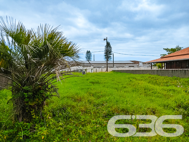 Confira esta exclusividade da 636 Negócios Imobiliários: um terreno deslumbrante localizado em São Francisco do Sul, no bairro Ervino, uma verdadeira joia para quem busca tranquilidade e investimento seguro em um dos destinos mais encantadores de Santa Catarina.

Detalhes do Terreno:

Com um total de 490,00 m²,  formando uma geometria regular ideal para diversos projetos arquitetônicos.
Localização: Oferece um ambiente tranquilo e está pronto para ser transformado na sua próxima grande conquista.

Por que escolher este terreno?

Localização estratégica: São Francisco do Sul é conhecida por sua beleza natural e tranquilidade, sendo um dos destinos mais procurados por quem deseja qualidade de vida ou um ótimo retorno sobre investimentos.
Flexibilidade de Projeto: O tamanho e a forma do terreno permitem uma variedade de projetos, desde uma residência espaçosa até um empreendimento multifamiliar.
Investimento Inteligente: A área está em expansão, com aumento de demanda por propriedades, garantindo valorização do seu investimento.

Sobre a 636 Negócios Imobiliários:
Com mais de 30 anos de experiência no mercado imobiliário, reconhecida por nossa perfeição técnico-jurídica e gestão digital inteligente, estamos aqui para garantir que sua compra seja simples, segura e satisfatória. Nossa equipe de especialistas está pronta para ajudá-lo a fazer a escolha certa com confiança e suporte total.

Não perca esta oportunidade exclusiva de possuir um dos terrenos mais desejáveis de São Francisco do Sul. Venha construir seu futuro conosco!

Entre em contato hoje mesmo e agende sua visita!
 
636 NEGÓCIOS IMOBILIÁRIOS: A SUA MELHOR ESCOLHA
Com mais de 30 anos de experiência, a 636 Negócios Imobiliários é sua parceira ideal para encontrar o imóvel perfeito. Estamos prontos para ajudá-lo a fazer deste imóvel o seu novo lar.
 
Telefone: (47) 3451-0636
WhatsApp: (47) 99190-0636
 
Não perca esta oportunidade única. Visite nosso site para mais informações: i636.com.br