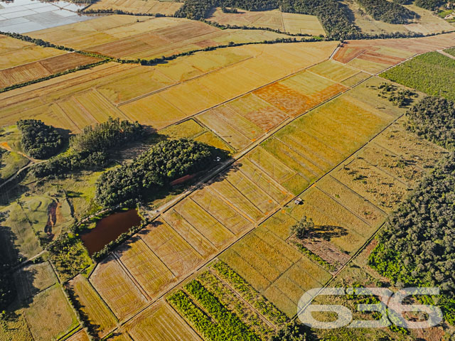 Foto de Terreno Joinville Vila Nova 01032347