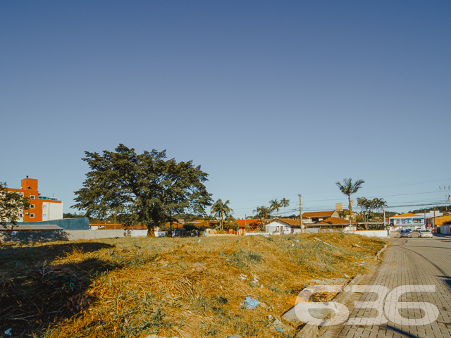 Foto de Terreno Joinville Nova Brasília 01032422