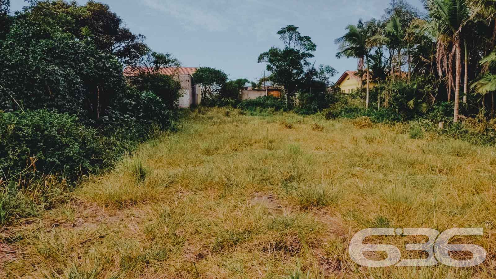 VENDE-SE TERRENO EM SÃO FRANCISCO DO SUL, SANTA CATARINA
São 360m² de terreno com potencial para investimento, com 12m² de frente e 30m² de lados. Terreno de topografia plana e regular, pronto para obras.
Perfeito para você que deseja começar aquela construção dos sonhos.
Rodeado pela natureza modesta do bairro Ervino, localizado em São Francisco do Sul, uma ilha exuberante de belas praias e paisagens fantásticas com inúmeras opções de lazer ao ar livre, com uma posição geográfica privilegiada com acesso rápido a qualquer outro bairro da região e a poucos metros da praia do Ervino.
Gostou? Então agende já sua visita com um de nossos corretores e saiba mais sobre esse vantajoso e oportuno investimento.
Esperamos por você!!!
Fale conosco:
Telefone: (47) 3448-3636
WhatsApp: (47) 99190-0636
Imobiliária 636.