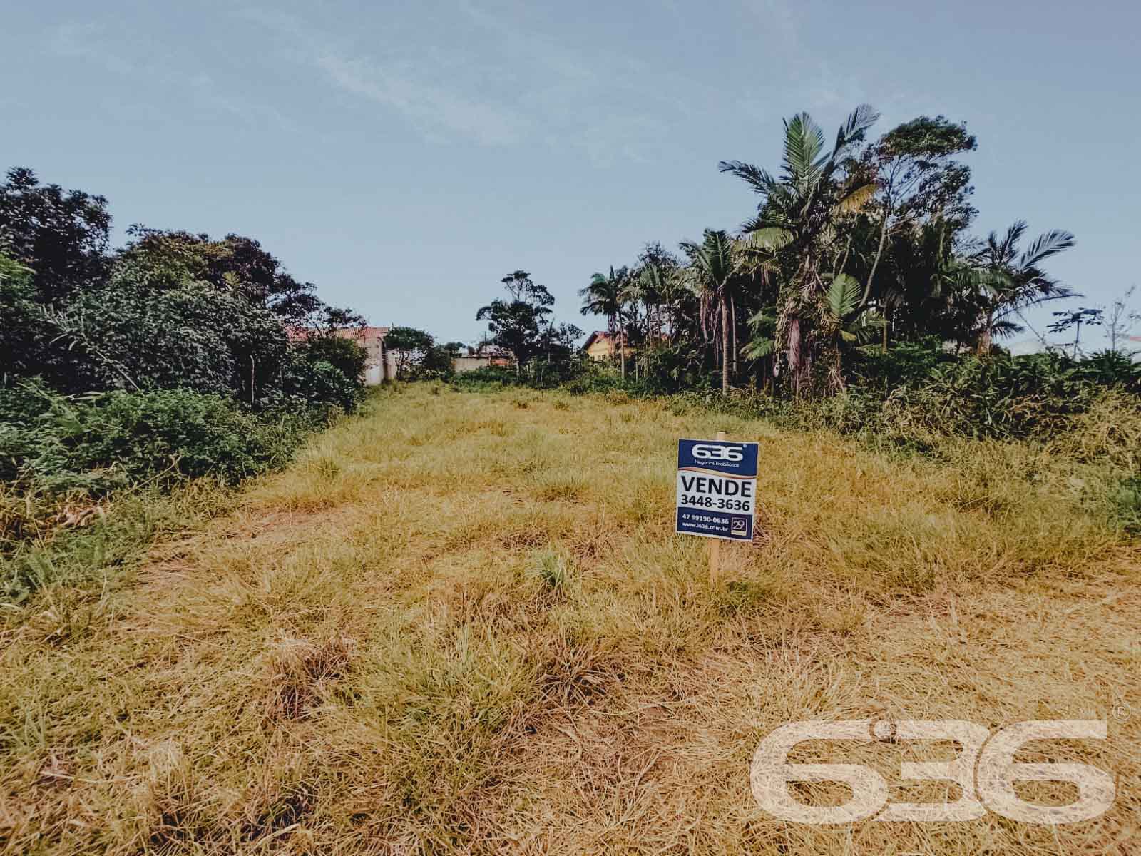 Terreno - Ervino - São Francisco do Sul