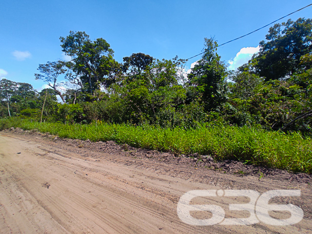 VENDE-SE TERRENO NO BAIRRO ERVINO, SÃO FRANCISCO DO SUL!
Este terreno de 357m², localizado no promissor bairro Ervino em São Francisco do Sul, é uma oportunidade de investimento imperdível. Com 15 metros de frente e 23,80 metros de profundidade, oferece um espaço amplo e versátil para diversos projetos.
O terreno apresenta um potencial excepcional para construção, seja para residências ou empreendimentos comerciais. Sua dimensão generosa permite a criação de um projeto arquitetônico que atenda às suas necessidades específicas, seja para construir a casa dos sonhos ou um investimento rentável. A área plana e bem dimensionada é ideal para um desenvolvimento sem complicações.
Localizado no bairro Ervino, este terreno está em uma região de crescente valorização. O bairro é conhecido por sua tranquilidade e proximidade com a natureza, oferecendo um ambiente sereno e agradável. A área está se desenvolvendo rapidamente, tornando-se uma escolha popular para novos moradores e investidores.
A 636 Negócios Imobiliários, com mais de 30 anos de experiência, está pronta para ajudá-lo a aproveitar esta oportunidade de investimento. Nossa equipe de especialistas está à disposição para oferecer o melhor atendimento. Entre em contato conosco pelo telefone: (47) 3448-3636 ou WhatsApp: (47) 99190-0636.
Este e outros milhares de imóveis no site: i636.com.br