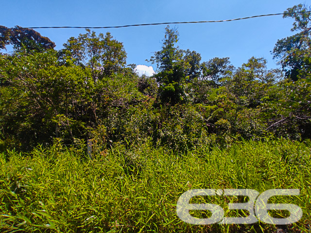 VENDE-SE TERRENO NO BAIRRO ERVINO, SÃO FRANCISCO DO SUL!
Este terreno de 357m², localizado no promissor bairro Ervino em São Francisco do Sul, é uma oportunidade de investimento imperdível. Com 15 metros de frente e 23,80 metros de profundidade, oferece um espaço amplo e versátil para diversos projetos.
O terreno apresenta um potencial excepcional para construção, seja para residências ou empreendimentos comerciais. Sua dimensão generosa permite a criação de um projeto arquitetônico que atenda às suas necessidades específicas, seja para construir a casa dos sonhos ou um investimento rentável. A área plana e bem dimensionada é ideal para um desenvolvimento sem complicações.
Localizado no bairro Ervino, este terreno está em uma região de crescente valorização. O bairro é conhecido por sua tranquilidade e proximidade com a natureza, oferecendo um ambiente sereno e agradável. A área está se desenvolvendo rapidamente, tornando-se uma escolha popular para novos moradores e investidores.
A 636 Negócios Imobiliários, com mais de 30 anos de experiência, está pronta para ajudá-lo a aproveitar esta oportunidade de investimento. Nossa equipe de especialistas está à disposição para oferecer o melhor atendimento. Entre em contato conosco pelo telefone: (47) 3448-3636 ou WhatsApp: (47) 99190-0636.
Este e outros milhares de imóveis no site: i636.com.br
