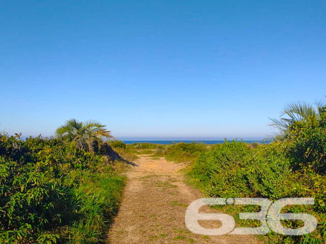 TERRENO À VENDA NO BAIRRO ERVINO - SÃO FRANCISCO DO SUL

Descubra a oportunidade de construir sua casa dos sonhos em São Francisco do Sul, no bairro Ervino. Este terreno excepcional, com 360m² de área total, oferece 12 metros de frente e 30 metros de profundidade, um espaço perfeito para projetar sua residência ou investimento.

Imagine a vida a apenas 400 metros da deslumbrante praia do Ervino, onde cada dia começa com a brisa do mar e o som suave das ondas. Este terreno não é apenas um lote, é um convite para um estilo de vida tranquilo e conectado à natureza, ideal para quem busca paz e qualidade de vida.

Localizado no bairro Ervino, conhecido por sua beleza natural e tranquilidade, este terreno está próximo a uma das praias mais encantadoras de São Francisco do Sul. A região oferece uma combinação perfeita de serenidade e conveniência, com fácil acesso a serviços essenciais e lazer.

Na 636 Negócios Imobiliários, com mais de 30 anos de experiência no mercado, estamos prontos para ajudá-lo a realizar seu sonho de viver perto do mar. Entre em contato conosco pelo telefone: (47) 3448-3636 ou WhatsApp: (47) 99190-0636 para saber mais.

Este e outros milhares de imóveis no site: i636.com.br