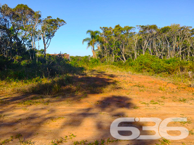 TERRENO À VENDA NO BAIRRO ERVINO - SÃO FRANCISCO DO SUL

Descubra a oportunidade de construir sua casa dos sonhos em São Francisco do Sul, no bairro Ervino. Este terreno excepcional, com 360m² de área total, oferece 12 metros de frente e 30 metros de profundidade, um espaço perfeito para projetar sua residência ou investimento.

Imagine a vida a apenas 400 metros da deslumbrante praia do Ervino, onde cada dia começa com a brisa do mar e o som suave das ondas. Este terreno não é apenas um lote, é um convite para um estilo de vida tranquilo e conectado à natureza, ideal para quem busca paz e qualidade de vida.

Localizado no bairro Ervino, conhecido por sua beleza natural e tranquilidade, este terreno está próximo a uma das praias mais encantadoras de São Francisco do Sul. A região oferece uma combinação perfeita de serenidade e conveniência, com fácil acesso a serviços essenciais e lazer.

Na 636 Negócios Imobiliários, com mais de 30 anos de experiência no mercado, estamos prontos para ajudá-lo a realizar seu sonho de viver perto do mar. Entre em contato conosco pelo telefone: (47) 3448-3636 ou WhatsApp: (47) 99190-0636 para saber mais.

Este e outros milhares de imóveis no site: i636.com.br