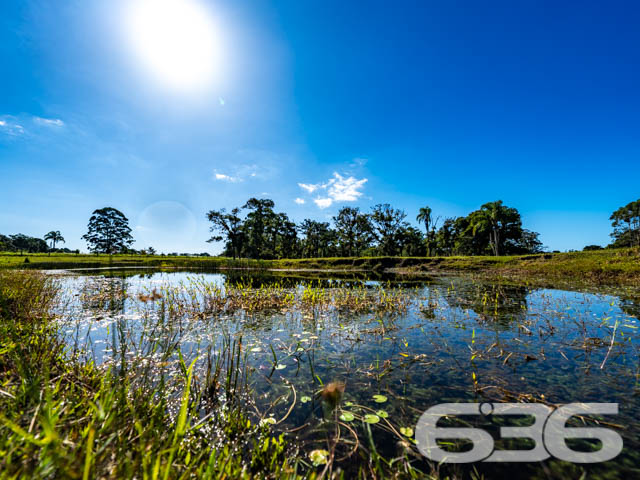 Foto de Chácara/Sítio Balneário Barra do Sul Pinheiros 03018797