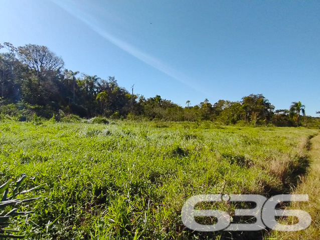Foto de Terreno Joinville Vila Nova 01033999