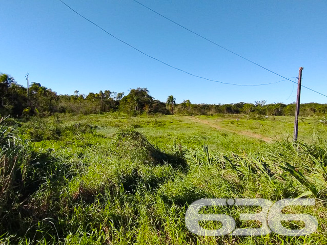 Foto de Terreno Joinville Vila Nova 01033999