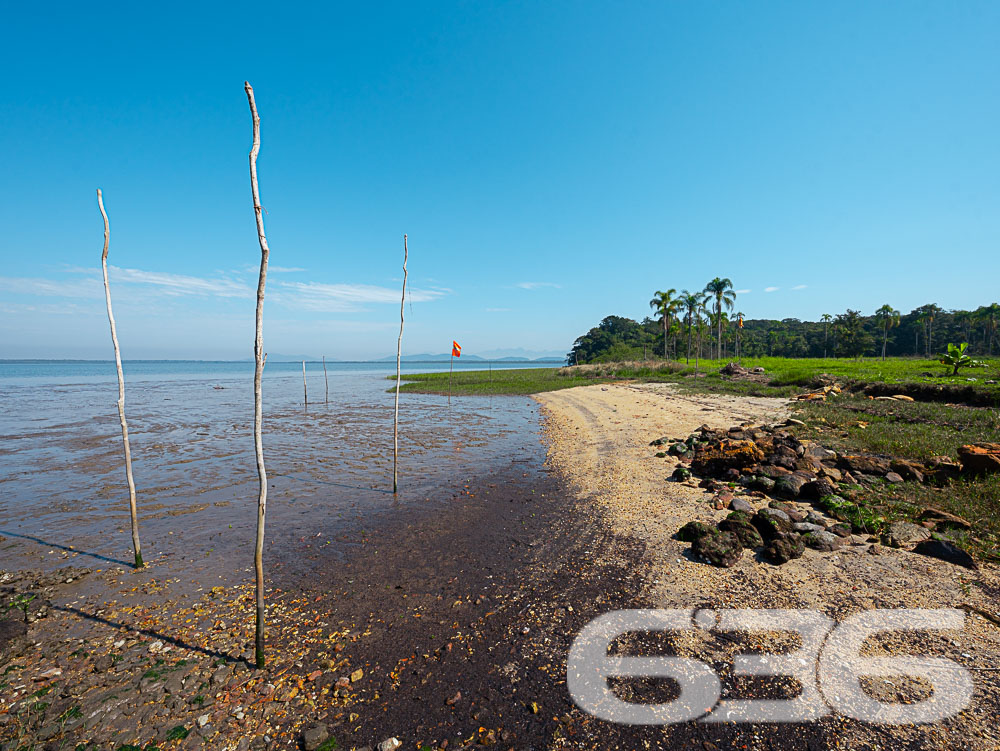 Foto de Chácara/Sítio São Francisco do Sul Frias 01034105