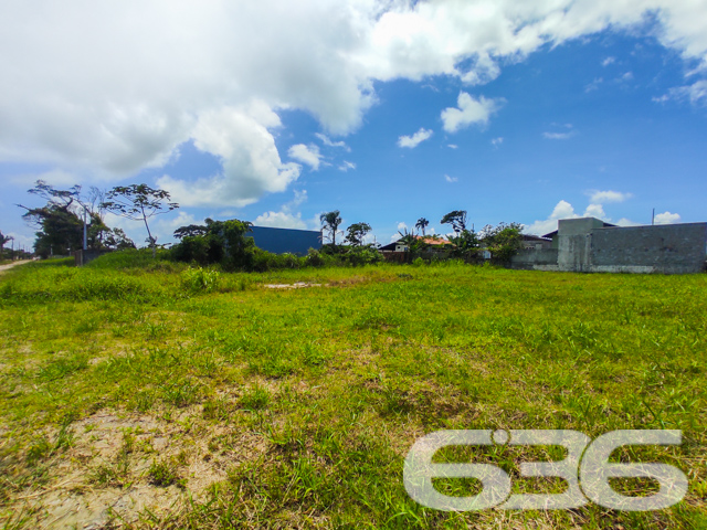 Terreno - Ervino - São Francisco do Sul