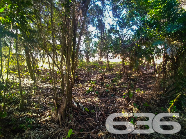 Foto de Terreno Balneário Barra do Sul Centro 03018644