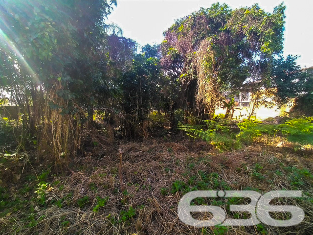 Foto de Terreno Balneário Barra do Sul Centro 03018644