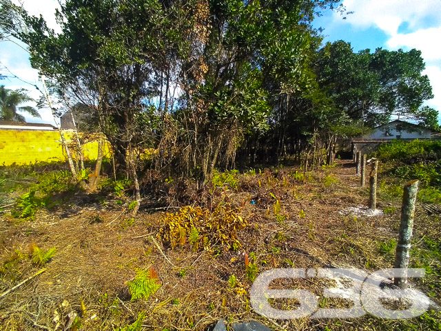 Foto de Terreno Balneário Barra do Sul Centro 03018644