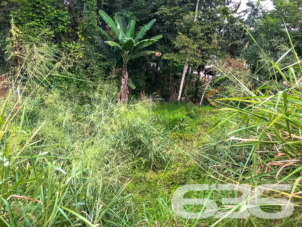 Terreno - Pirabeiraba - Joinville
