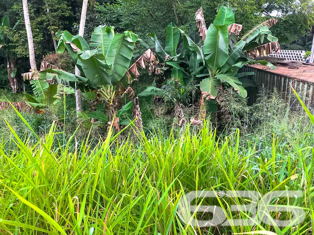 Terreno - Pirabeiraba - Joinville