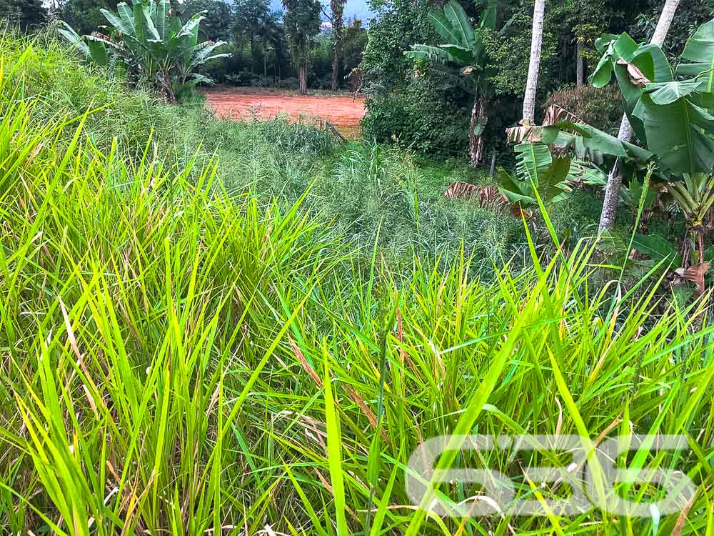 Terreno - Pirabeiraba - Joinville