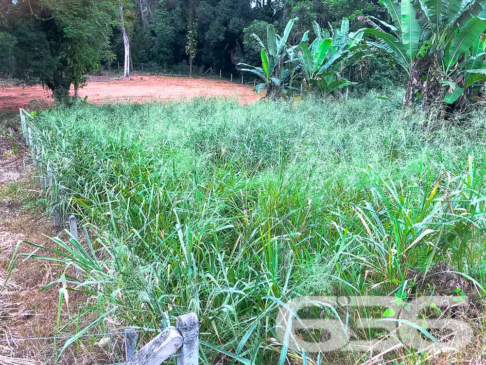 Terreno - Pirabeiraba - Joinville