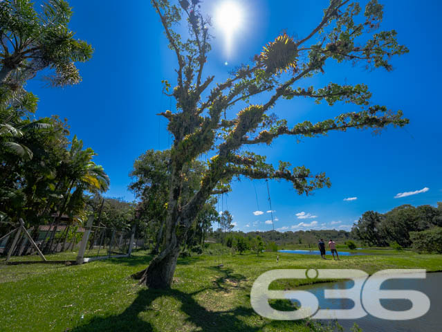 Foto de Chácara/Sítio Balneário Barra do Sul Conquista 03018822