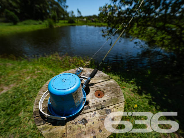 Foto de Chácara/Sítio Balneário Barra do Sul Conquista 03018822