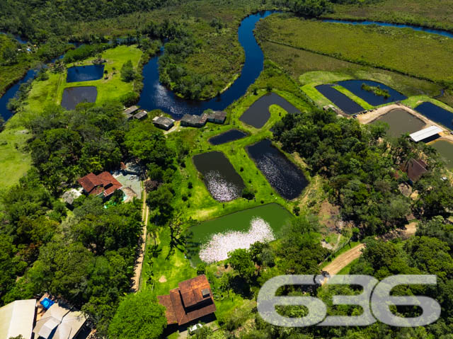 Foto de Chácara/Sítio Balneário Barra do Sul Conquista 03018822