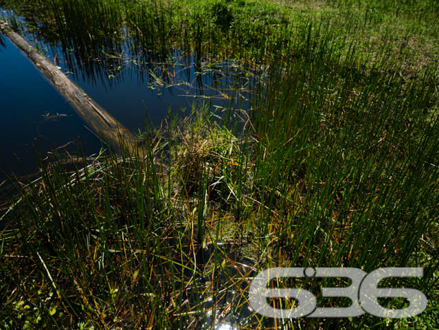 Foto de Chácara/Sítio Balneário Barra do Sul Conquista 03018822