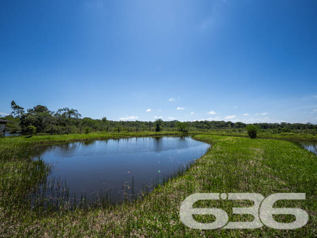 Foto de Chácara/Sítio Balneário Barra do Sul Conquista 03018822