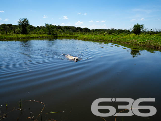 Foto de Chácara/Sítio Balneário Barra do Sul Conquista 03018822