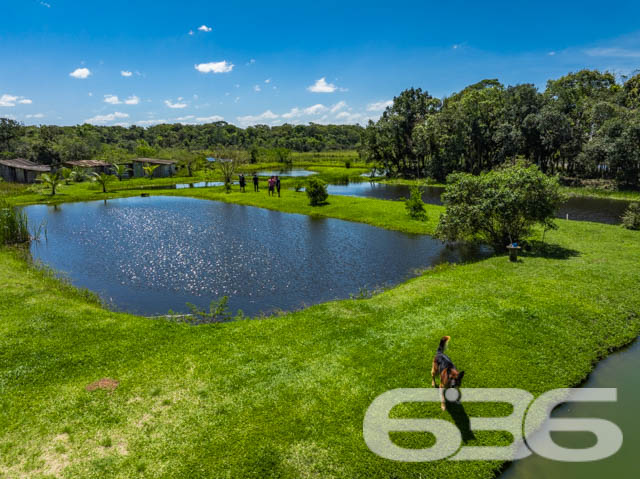 Foto de Chácara/Sítio Balneário Barra do Sul Conquista 03018822