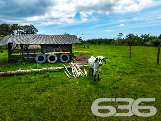 Foto de Chácara/Sítio Balneário Barra do Sul Pinheiros 03018834