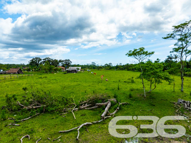 Foto de Chácara/Sítio Balneário Barra do Sul Pinheiros 03018834