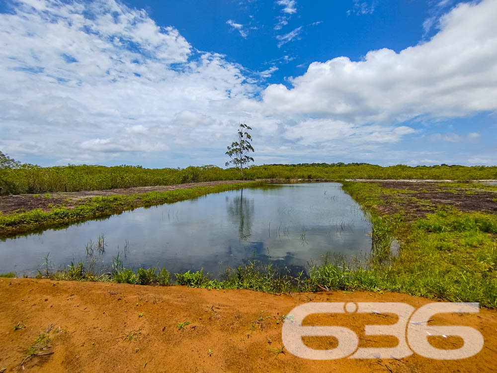 Foto de Terreno Balneário Barra do Sul Pinheiros 03018892