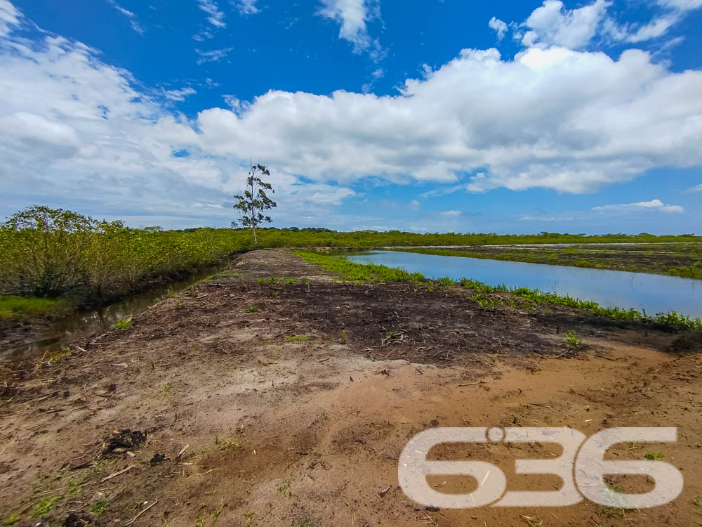 Foto de Terreno Balneário Barra do Sul Pinheiros 03018892