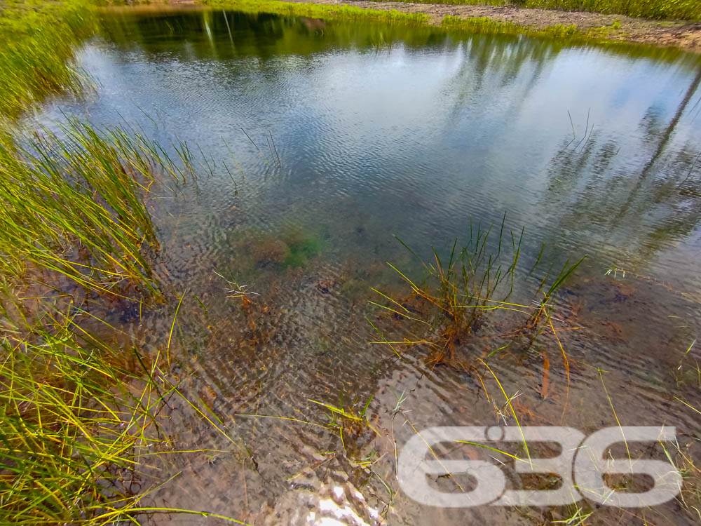 Foto de Terreno Balneário Barra do Sul Pinheiros 03018892