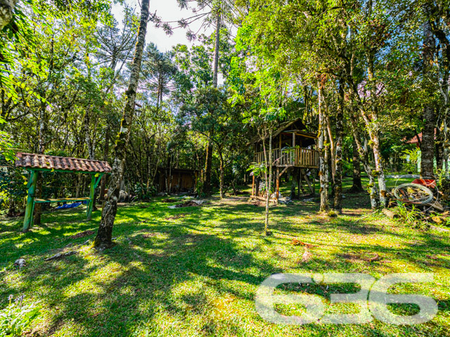 Chácara/Sítio - Cascatas - Campo Alegre