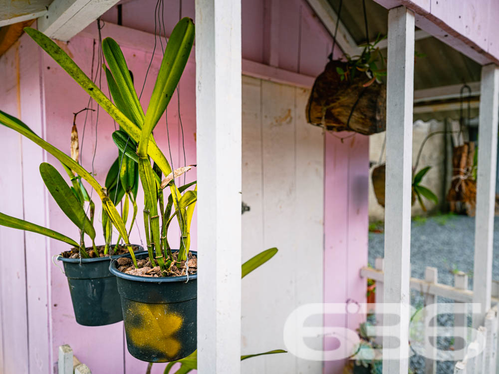 Descubra o prazer de viver em um ambiente tranquilo e aconchegante, perfeito para sua família! Localizada em Araquari, no bairro Itinga, esta residência padrão térreo oferece 70 m² de área construída em um terreno plano de 250 m², perfeitamente distribuído para garantir conforto e praticidade.
Com uma estrutura robusta de laje, a casa dispõe de dois dormitórios arejados, uma sala de estar acolhedora para momentos em família e uma copa e cozinha conjugadas, ideal para quem adora cozinhar enquanto interage com visitas. A propriedade também conta com uma ampla garagem coberta e espaço para mais veículos no terreno, além de um encantador espaço com churrasqueira para desfrutar de momentos especiais.
A localização é um verdadeiro privilégio: o imóvel está próximo à um corredor comercial repleto de conveniências como farmácia, padaria, material de construção, dois CEIs e colégio.
O imóvel não é apenas uma casa, é um lar esperando por você. Um espaço onde cada canto foi pensado para proporcionar segurança e comodidade, com acesso pavimentado e uma área do terreno que garante privacidade.
Imagine-se vivendo neste refúgio tranquilo, com todas as facilidades urbanas ao seu alcance, mas com a paz e a privacidade que só este imóvel em Araquari pode oferecer. Venha conhecer e se apaixonar por este lugar que pode ser o próximo capítulo na história de sua família. A 636 Negócios Imobiliários está à disposição para tornar seu sonho realidade com a excelência e a segurança que mais de 30 anos de experiência no mercado podem garantir.
636 NEGÓCIOS IMOBILIÁRIOS: A SUA MELHOR ESCOLHA
Com mais de 30 anos de experiência, a 636 Negócios Imobiliários é sua parceira ideal para encontrar o imóvel perfeito. Estamos prontos para ajudá-lo a fazer deste imóvel o seu novo lar.
Telefone: (47) 3451-0636
WhatsApp: (47) 99190-0636
Não perca esta oportunidade única. Visite nosso site para mais informações: i636.com.br