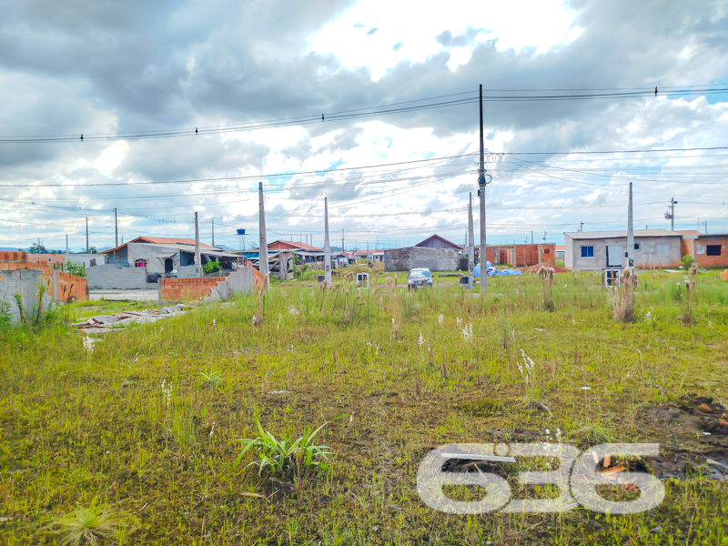 Oportunidade de Investimento em Araquari/SC – Terreno com 240m² no Bairro Colégio Agrícola
Se você procura um terreno, bem localizado e pronto para construir, esta é a oportunidade ideal. Este terreno com 240m² de área total, está situado em uma rua pavimentada, proporcionando fácil acesso e valorização imediata.
O terreno está em uma região em pleno desenvolvimento urbano, com diversas construções novas ao redor, o que representa um excelente potencial de crescimento e valorização patrimonial.
Este terreno é perfeito para você que busca construir sua residência própria, investir em locações ou mesmo pensar em empreendimentos futuros. Um lote com estas características e nesta localização estratégica é uma raridade no mercado atual.
Não perca essa chance! Fale agora com um dos corretores da 636 Negócios Imobiliários e agende sua visita. Mais de 30 anos de experiência, segurança jurídica e uma equipe altamente preparada para garantir uma compra segura e eficiente.
636 NEGÓCIOS IMOBILIÁRIOS: A SUA MELHOR ESCOLHA
Com mais de 30 anos de experiência, a 636 Negócios Imobiliários é sua parceira ideal para encontrar o imóvel perfeito. Estamos prontos para ajudá-lo a fazer deste imóvel o seu novo lar.
Telefone: (47) 3451-0636
WhatsApp: (47) 99190-0636
Não perca esta oportunidade única. Visite nosso site para mais informações: i636.com.br