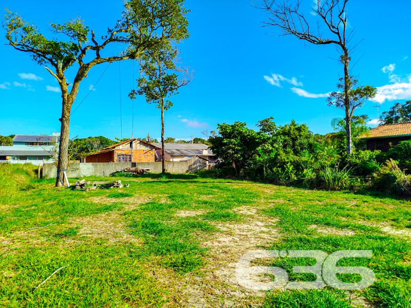 Terreno - Ervino - São Francisco do Sul