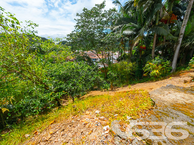 Residência térrea com amplo terreno à venda no Parque Guarani em Joinville/SC! 

Se você procura um lar espaçoso, acolhedor e pronto para morar, esta é a oportunidade perfeita. Localizada no bairro Parque Guarani, esta charmosa casa térrea oferece uma combinação equilibrada entre conforto interno e amplo espaço externo — ideal para famílias que valorizam bem-estar, privacidade e tranquilidade.

Construída sobre um terreno com 434,08m², a residência conta com 112,50m² de área construída e foi projetada com ambientes integrados, funcionais e acolhedores.

Ao entrar, você encontra uma sala de estar integrada à cozinha planejada com bancada em granito, ideal para reunir a família ou receber amigos. Os detalhes em madeira no forro e a iluminação bem distribuída reforçam a sensação de conforto e aconchego.

A casa possui 3 dormitórios bem distribuídos, sendo um deles com acesso direto ao banheiro principal. São 2 banheiros ao todo, ambos com ótimo acabamento e funcionalidade. A lavanderia é espaçosa e prática, garantindo o apoio ideal para o dia a dia.

Na parte externa, destaque para a área coberta com churrasqueira, perfeita para momentos de lazer em família. A garagem acomoda até 3 veículos (sendo 1 vaga coberta) e o amplo espaço de terreno ainda permite futuras ampliações ou paisagismo.

Comodidades adicionais: portão eletrônico, interfone, imóvel totalmente murado e cercado, ambiente pet friendly e ótima localização com fácil acesso às principais vias do bairro, próximo a escolas, supermercados, transporte público, hospitais e demais serviços essenciais.

Um imóvel completo, funcional e com excelente custo-benefício. Para quem deseja viver com mais liberdade, espaço e conforto em Joinville!

Agende uma visita com um de nossos consultores da 636 Negócios Imobiliários. Mais de 30 anos de experiência e seriedade no mercado!
 
636 NEGÓCIOS IMOBILIÁRIOS: A SUA MELHOR ESCOLHA
Com mais de 30 anos de experiência, a 636 Negócios Imobiliários é sua parceira ideal para encontrar o imóvel perfeito. Estamos prontos para ajudá-lo a fazer deste imóvel o seu novo lar.
 
Telefone: (47) 3451-0636
WhatsApp: (47) 99190-0636
 
Não perca esta oportunidade única. Visite nosso site para mais informações: i636.com.br