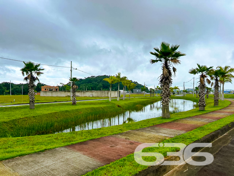 Terreno à venda no Itinga – Araquari/SC | 360m² 

Apresentamos uma das oportunidades mais valorizadas do bairro Itinga, em Araquari/SC: um terreno plano, com 360m² , geometria regular e face norte, ideal para projetos que priorizam boa iluminação natural e ventilação.

Localizado no Loteamento, um dos empreendimentos mais modernos e planejados da região, o imóvel oferece um entorno impecável, com ruas pavimentadas, paisagismo com palmeiras, lagos ornamentais, pista de caminhada, áreas de lazer e uma vizinhança formada por residências de alto padrão.

Seja para construir a casa dos sonhos ou como ativo de valorização patrimonial, este terreno reúne os elementos ideais: localização estratégica, segurança urbanística, beleza paisagística e documentação regular.

Entre em contato com a 636 Negócios Imobiliários e venha conhecer de perto o cenário onde sua próxima conquista vai nascer.
 
636 NEGÓCIOS IMOBILIÁRIOS: A SUA MELHOR ESCOLHA
Com mais de 30 anos de experiência, a 636 Negócios Imobiliários é sua parceira ideal para encontrar o imóvel perfeito. Estamos prontos para ajudá-lo a fazer deste imóvel o seu novo lar.
 
Telefone: (47) 3451-0636
WhatsApp: (47) 99190-0636
 
Não perca esta oportunidade única. Visite nosso site para mais informações: i636.com.br