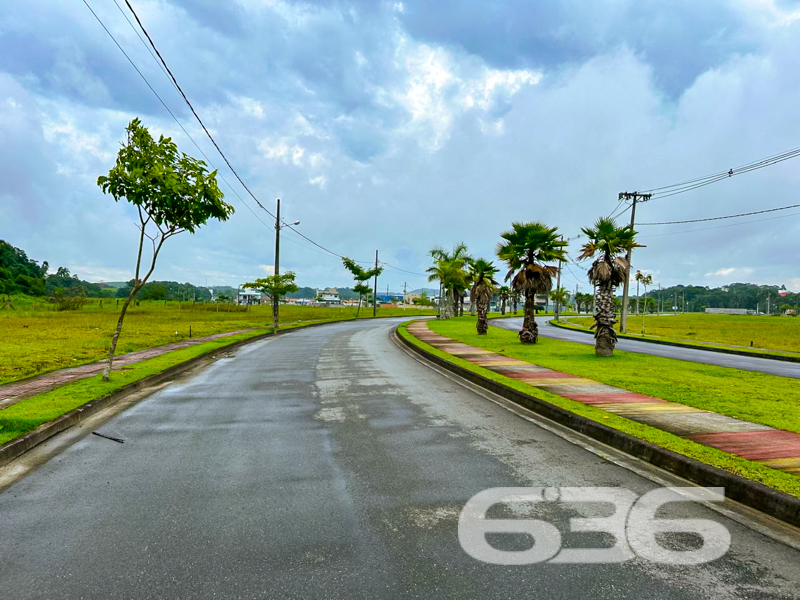 Terreno à venda no Itinga – Araquari/SC | 360m² 

Apresentamos uma das oportunidades mais valorizadas do bairro Itinga, em Araquari/SC: um terreno plano, com 360m² , geometria regular e face norte, ideal para projetos que priorizam boa iluminação natural e ventilação.

Localizado no Loteamento, um dos empreendimentos mais modernos e planejados da região, o imóvel oferece um entorno impecável, com ruas pavimentadas, paisagismo com palmeiras, lagos ornamentais, pista de caminhada, áreas de lazer e uma vizinhança formada por residências de alto padrão.

Seja para construir a casa dos sonhos ou como ativo de valorização patrimonial, este terreno reúne os elementos ideais: localização estratégica, segurança urbanística, beleza paisagística e documentação regular.

Entre em contato com a 636 Negócios Imobiliários e venha conhecer de perto o cenário onde sua próxima conquista vai nascer.
 
636 NEGÓCIOS IMOBILIÁRIOS: A SUA MELHOR ESCOLHA
Com mais de 30 anos de experiência, a 636 Negócios Imobiliários é sua parceira ideal para encontrar o imóvel perfeito. Estamos prontos para ajudá-lo a fazer deste imóvel o seu novo lar.
 
Telefone: (47) 3451-0636
WhatsApp: (47) 99190-0636
 
Não perca esta oportunidade única. Visite nosso site para mais informações: i636.com.br