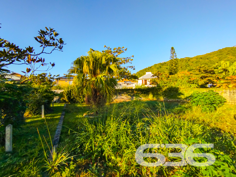Terreno à venda em Ubatuba, São Francisco do Sul/SC | 628,57m² | A poucos passos do mar!

Você sonha em construir seu refúgio exclusivo à beira-mar? Essa é a sua oportunidade!

Apresentamos um terreno espetacular com 628,57m² de área total, localizado em uma das regiões mais desejadas do litoral catarinense: o bairro Ubatuba, em São Francisco do Sul/SC. Situado em rua pavimentada, esse terreno é ideal para quem busca conforto, praticidade e proximidade com a natureza.

O grande diferencial está nas fotos reais do local: vegetação exuberante, ruas tranquilas, cenário paradisíaco e o mar a poucos passos de distância. Imagine acordar com o som das ondas, caminhar até a praia em minutos e viver com qualidade de vida em meio à natureza preservada. Além disso, a região está em crescente valorização, cercada por belas residências e infraestrutura consolidada.

Seja para investir, construir sua casa de veraneio ou mudar de vida com os pés na areia, este terreno é uma escolha estratégica e inspiradora.

Não deixe essa oportunidade única escapar. Fale agora com a 636 Negócios Imobiliários – há mais de 30 anos transformando terrenos em conquistas de vida.
 
636 NEGÓCIOS IMOBILIÁRIOS: A SUA MELHOR ESCOLHA
Com mais de 30 anos de experiência, a 636 Negócios Imobiliários é sua parceira ideal para encontrar o imóvel perfeito. Estamos prontos para ajudá-lo a fazer deste imóvel o seu novo lar.
 
Telefone: (47) 3451-0636
WhatsApp: (47) 99190-0636
 
Não perca esta oportunidade única. Visite nosso site para mais informações: i636.com.br