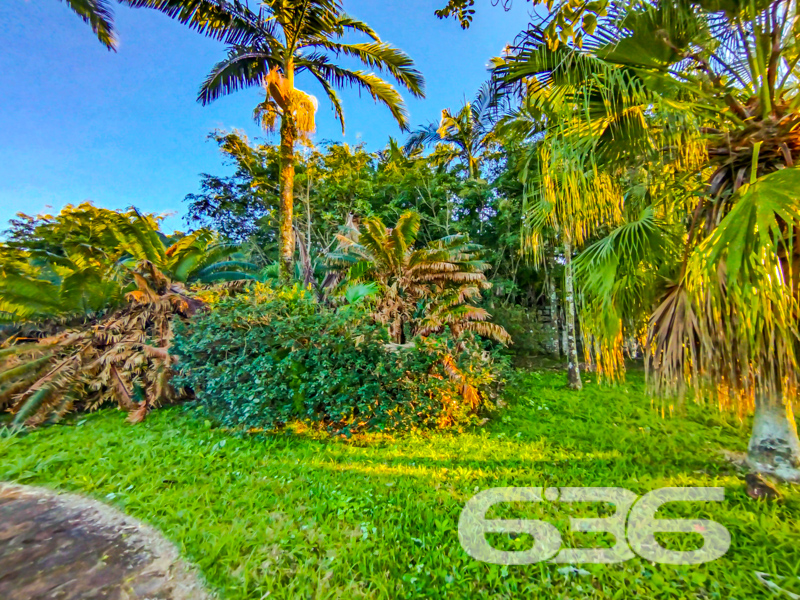 Terreno à venda em Ubatuba, São Francisco do Sul/SC | 628,57m² | A poucos passos do mar!

Você sonha em construir seu refúgio exclusivo à beira-mar? Essa é a sua oportunidade!

Apresentamos um terreno espetacular com 628,57m² de área total, localizado em uma das regiões mais desejadas do litoral catarinense: o bairro Ubatuba, em São Francisco do Sul/SC. Situado em rua pavimentada, esse terreno é ideal para quem busca conforto, praticidade e proximidade com a natureza.

O grande diferencial está nas fotos reais do local: vegetação exuberante, ruas tranquilas, cenário paradisíaco e o mar a poucos passos de distância. Imagine acordar com o som das ondas, caminhar até a praia em minutos e viver com qualidade de vida em meio à natureza preservada. Além disso, a região está em crescente valorização, cercada por belas residências e infraestrutura consolidada.

Seja para investir, construir sua casa de veraneio ou mudar de vida com os pés na areia, este terreno é uma escolha estratégica e inspiradora.

Não deixe essa oportunidade única escapar. Fale agora com a 636 Negócios Imobiliários – há mais de 30 anos transformando terrenos em conquistas de vida.
 
636 NEGÓCIOS IMOBILIÁRIOS: A SUA MELHOR ESCOLHA
Com mais de 30 anos de experiência, a 636 Negócios Imobiliários é sua parceira ideal para encontrar o imóvel perfeito. Estamos prontos para ajudá-lo a fazer deste imóvel o seu novo lar.
 
Telefone: (47) 3451-0636
WhatsApp: (47) 99190-0636
 
Não perca esta oportunidade única. Visite nosso site para mais informações: i636.com.br
