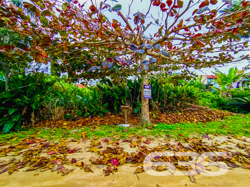 Terreno - Praia Grande - São Francisco do Sul