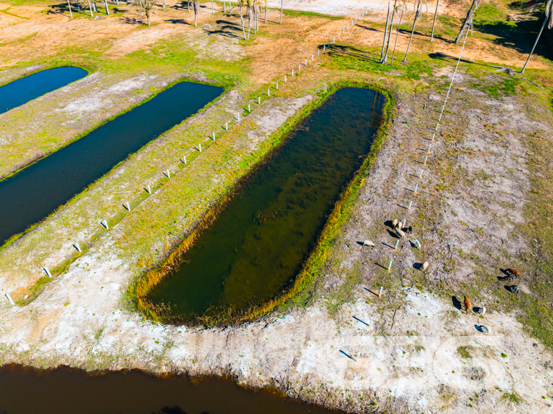Terreno - Pinheiros - Balneário Barra do Sul