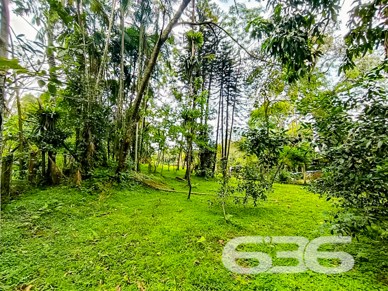 Terreno - Atiradores - Joinville