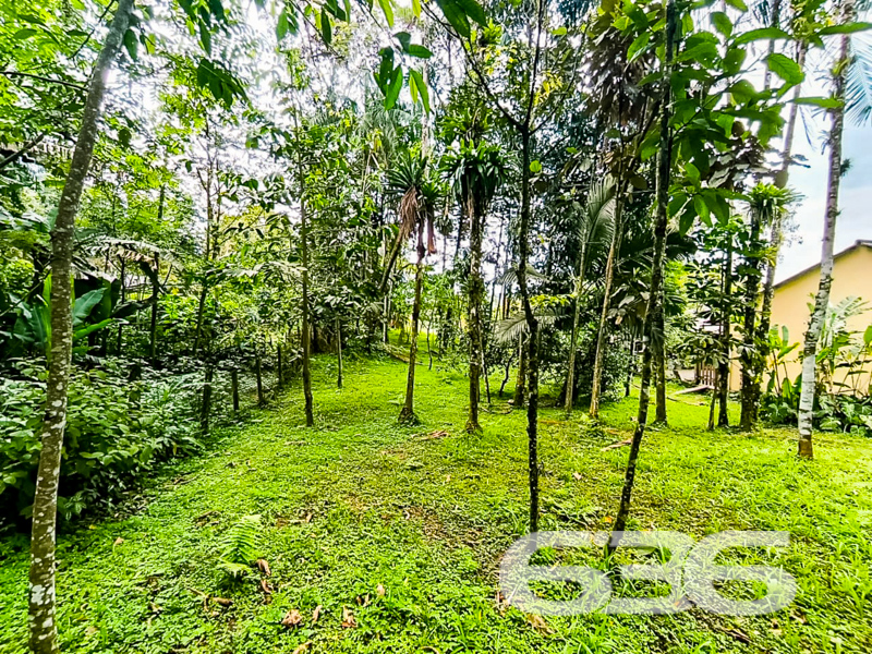 Terreno - Atiradores - Joinville
