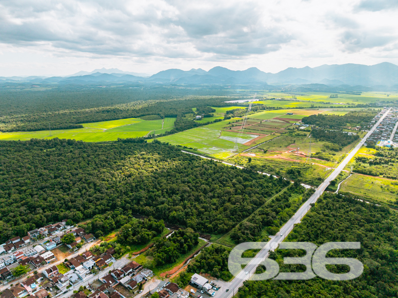 Terreno - Nova Brasília - Joinville