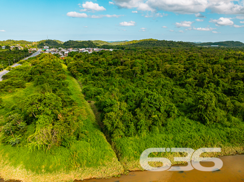 Terreno - Nova Brasília - Joinville